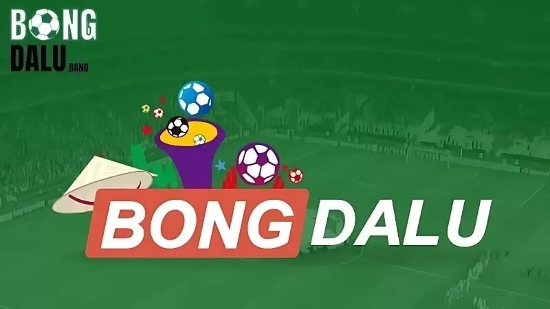 Ý nghĩa của điều khoản sử dụng tại Bongdalu
